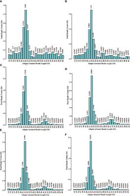 Identification of tRNA-derived RNAs in adipose tissue from overweight type 2 diabetes mellitus patients and their potential biological functions
